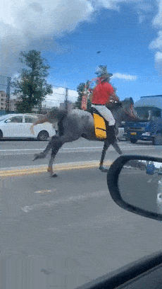 东莞男子路上骑马"狂奔"!