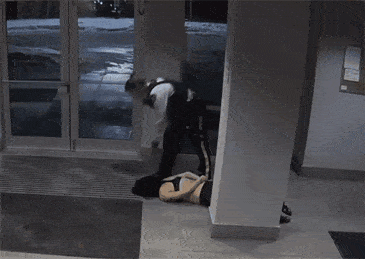 警察暴力执法ubc华裔女生遭踩头杀地上拖行扯发骑警上门进行健康检查