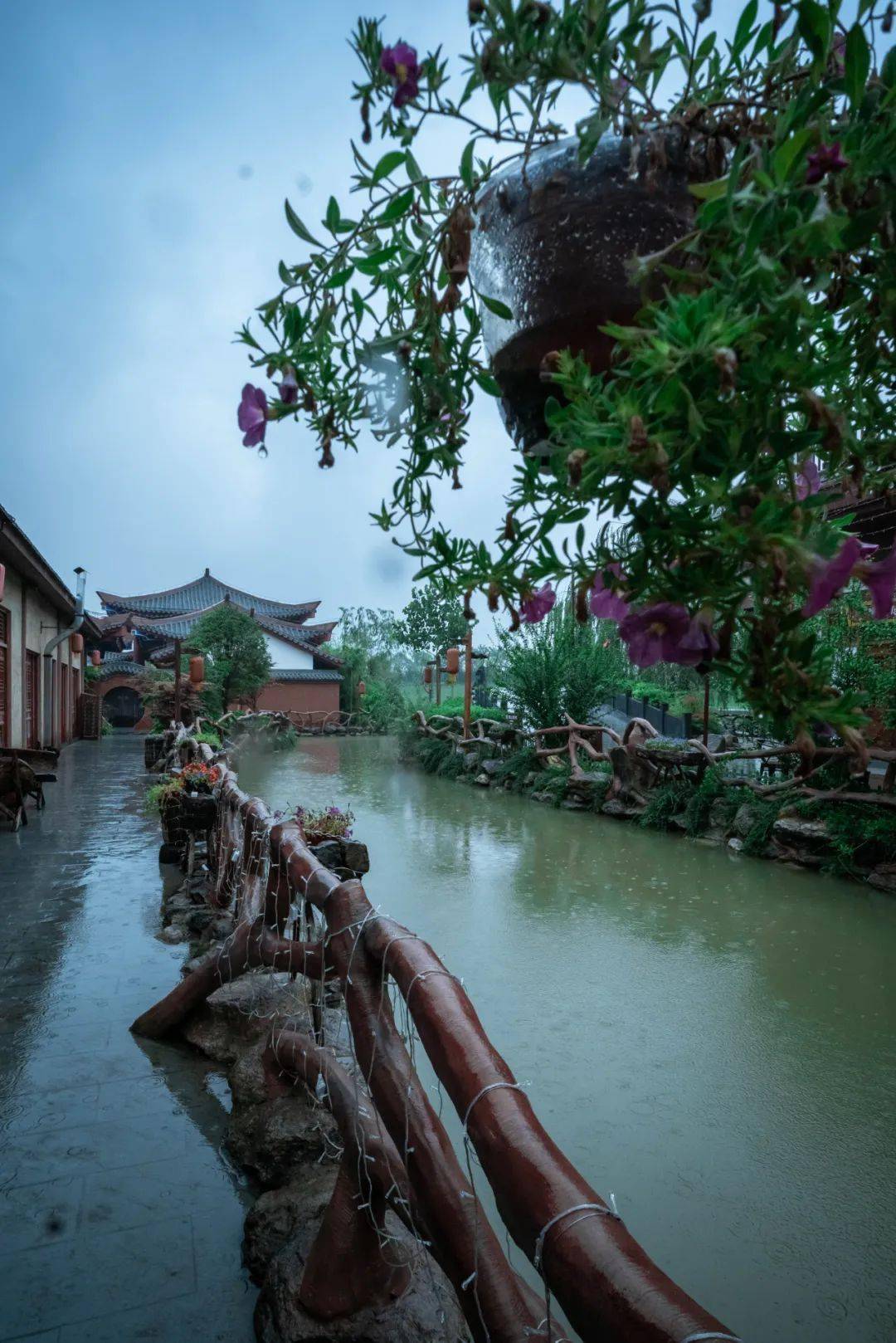 ​三國小鎮:這裡有江南煙雨的詩情畫意_荷塘