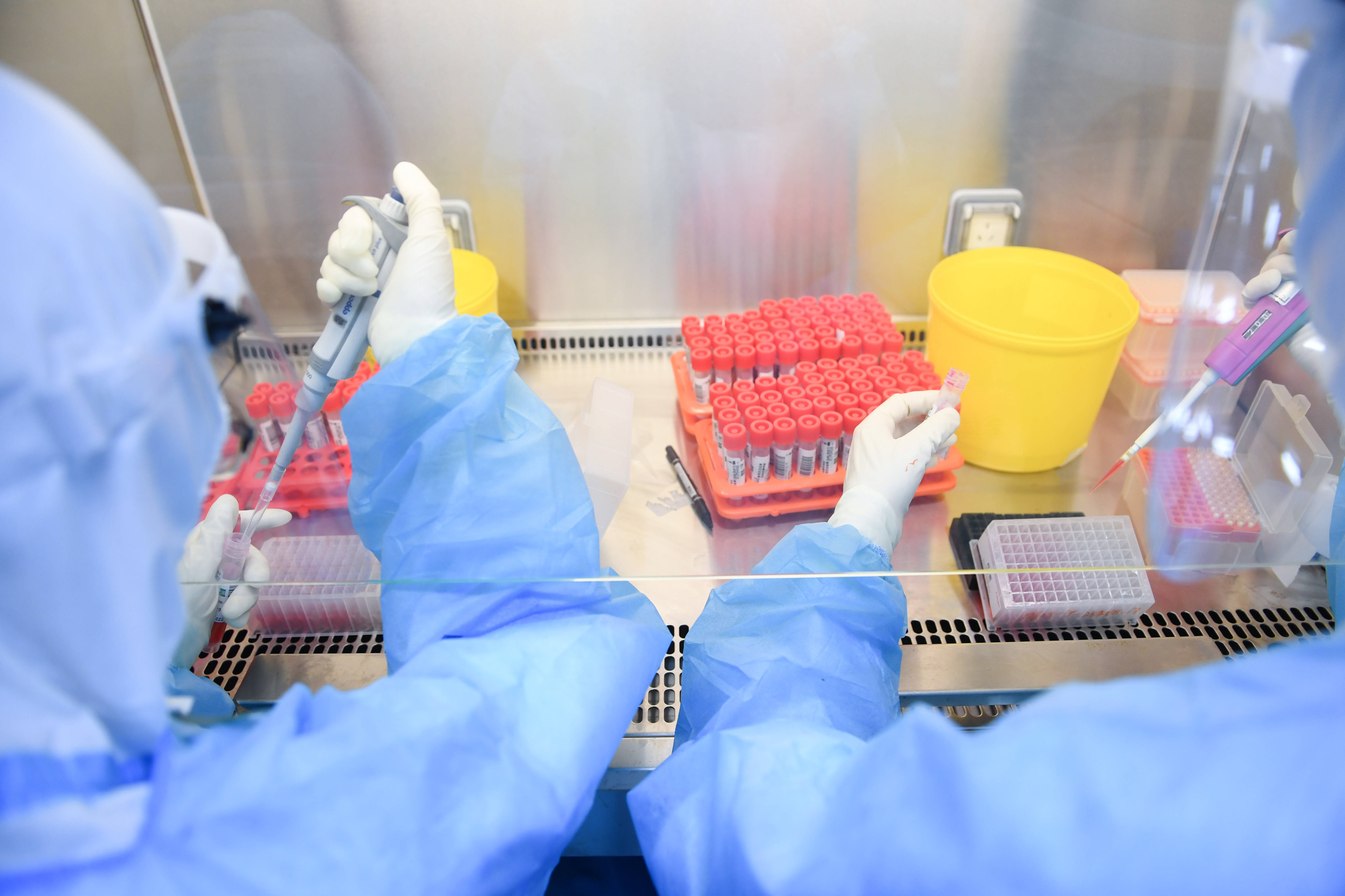 6月26日凌晨,检验人员进行样本提取加样工作.