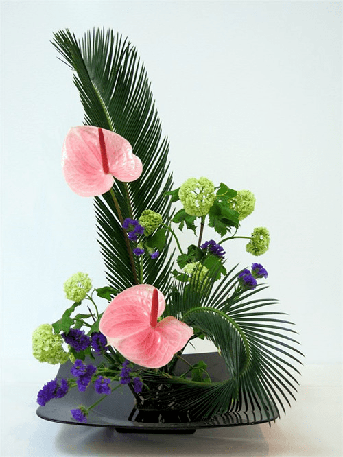 如兰分享插花欣赏红掌2