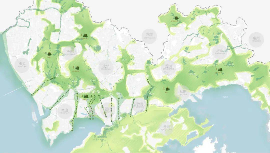 深圳红树林湿地博物馆要来了全球招标