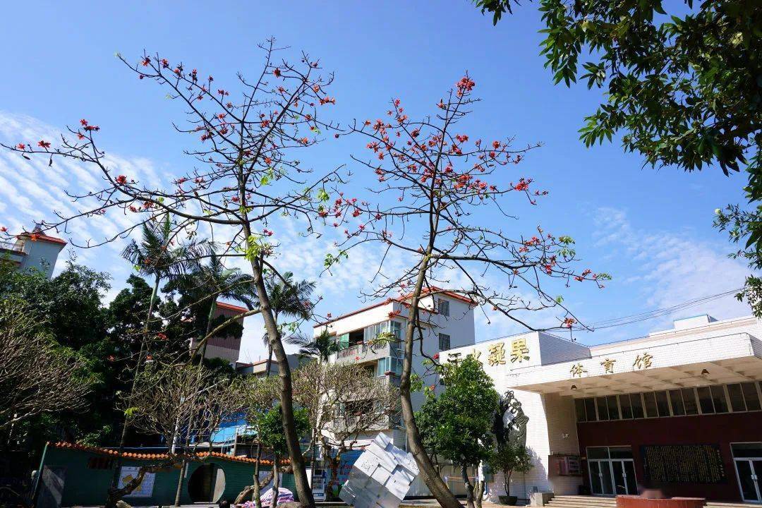 莘村中学2020年初中一年级招生方案