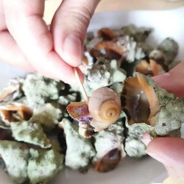 原料:海苦螺,盐,水.做法步骤:第1步 海苦螺清洗干净,漓干水.