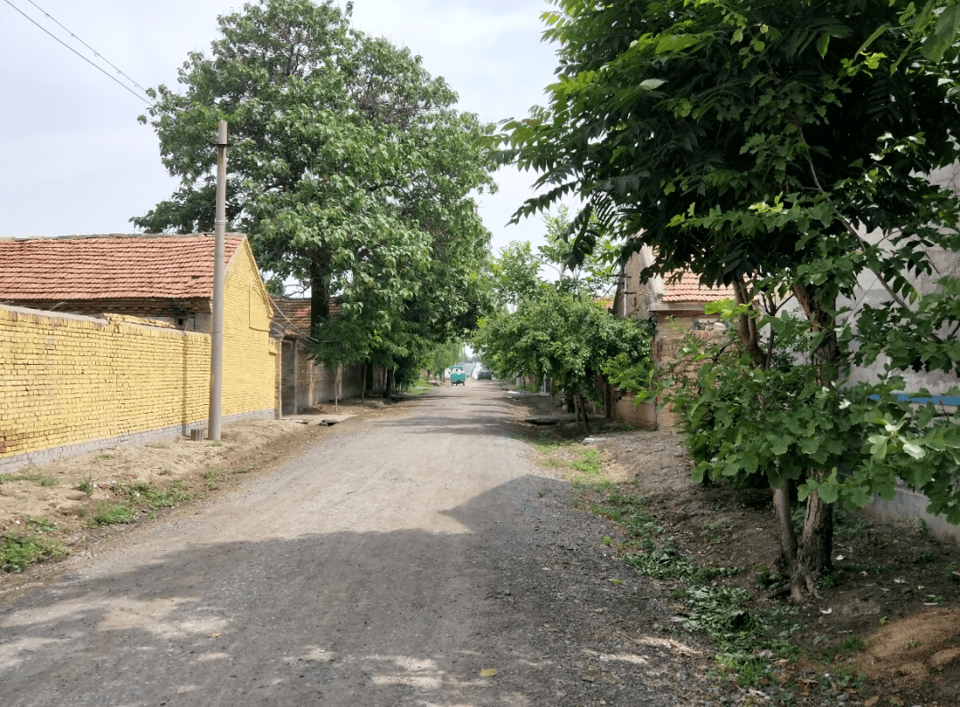 大变样寿光这些村优化布局建设美丽宜居乡村