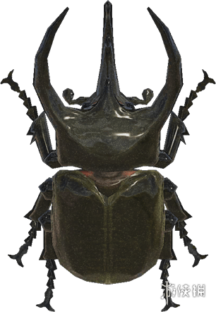 动物森友会》7月夏季捕虫大会昆虫一览!