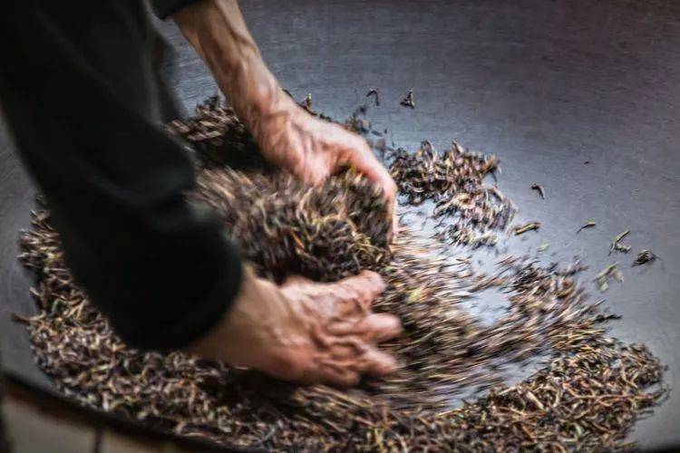 桃源红茶飘香万里