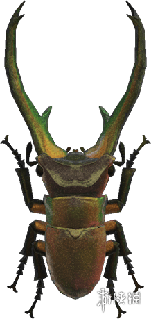 动物森友会》7月夏季捕虫大会昆虫一览!