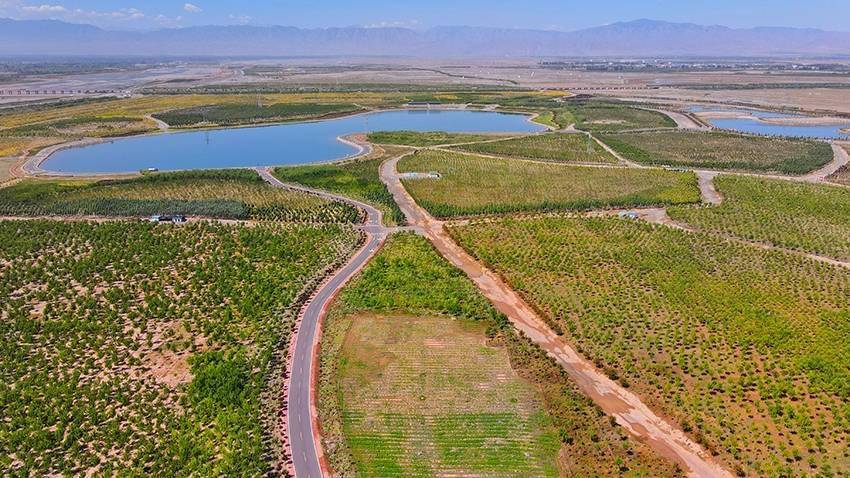甘肃张掖黑河生态带筑牢西部生态屏障