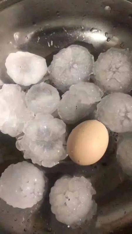 蠡县最大冰雹有鸡蛋大.张旭宁 摄