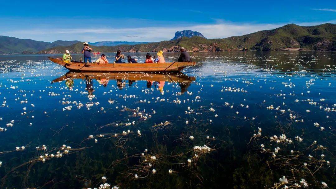据说世上 有三种刹那间的美丽花朵 第一种是昙花 昙花一现,只为韦陀