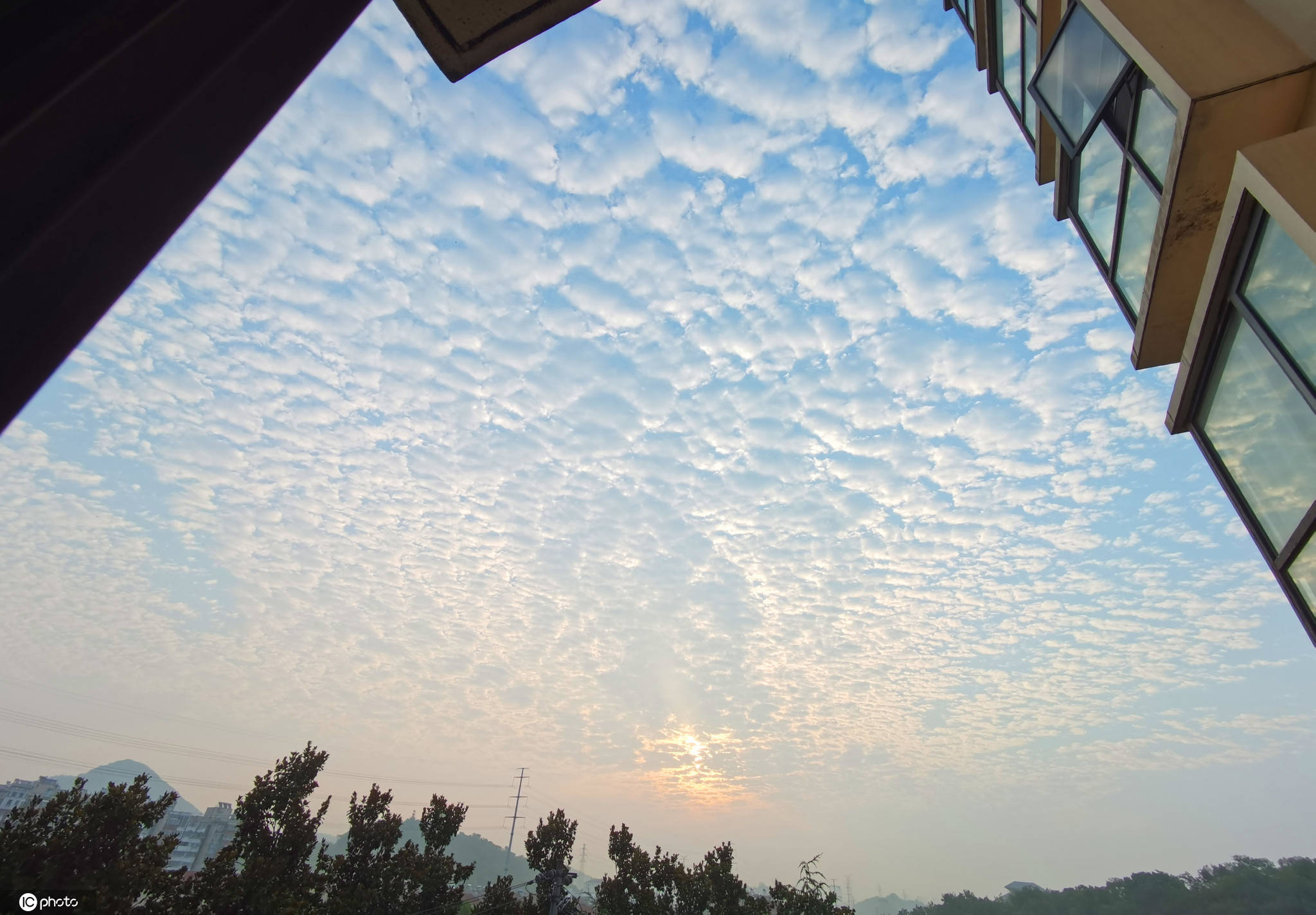 南京清晨天空出现壮观的"鱼鳞云"