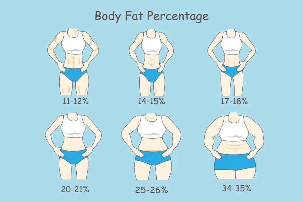 体脂率对比照片女图片