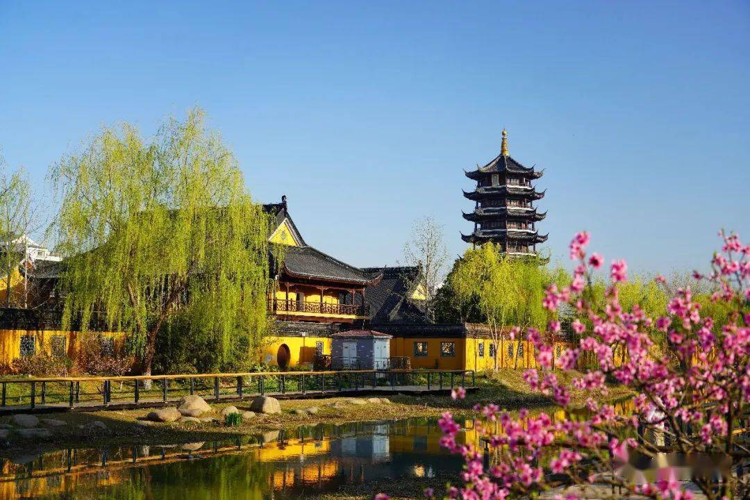 首届文旅泗阳最美瞬间摄影大赛获奖作品展示