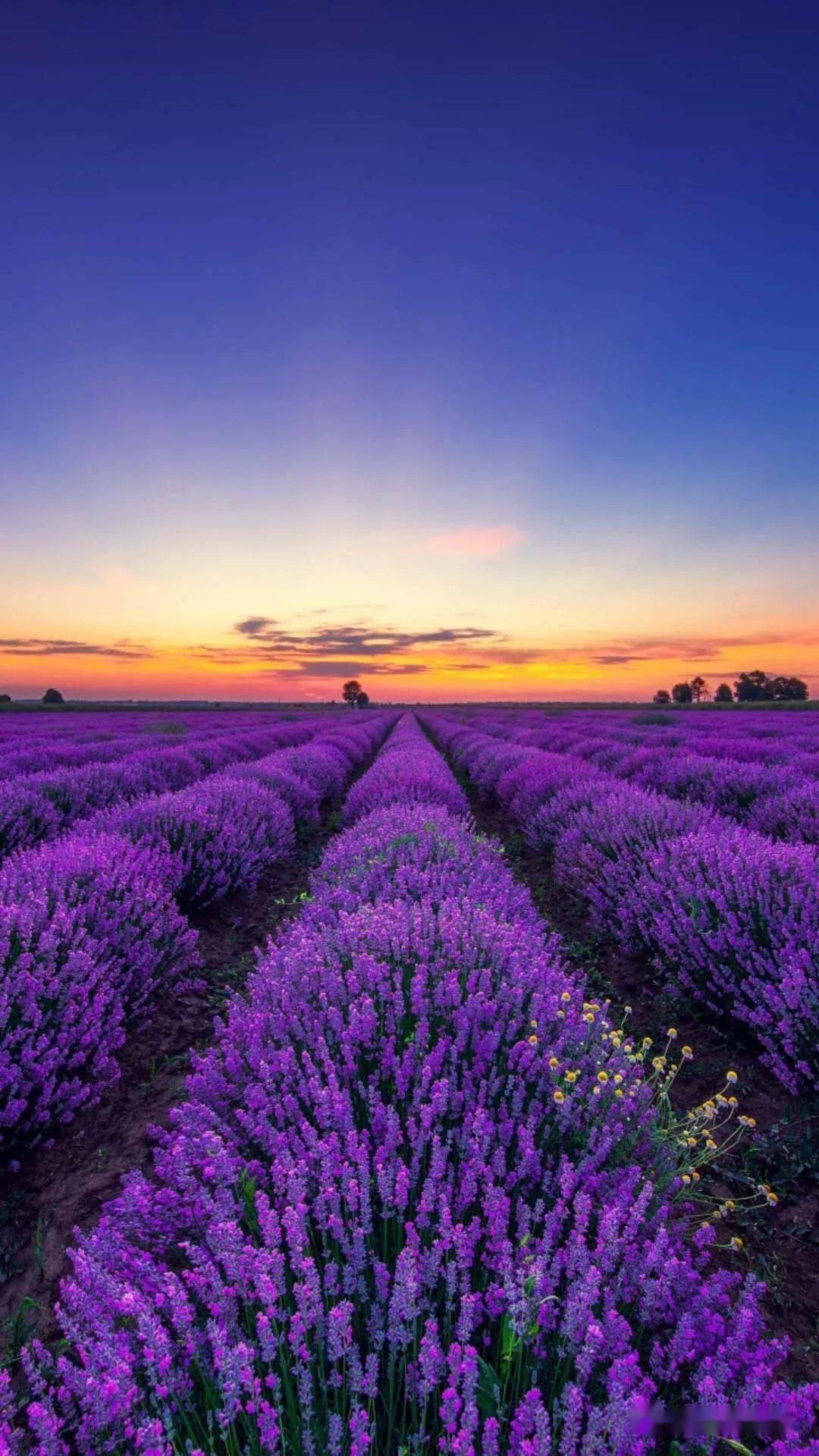 1080_1920竖版 竖屏