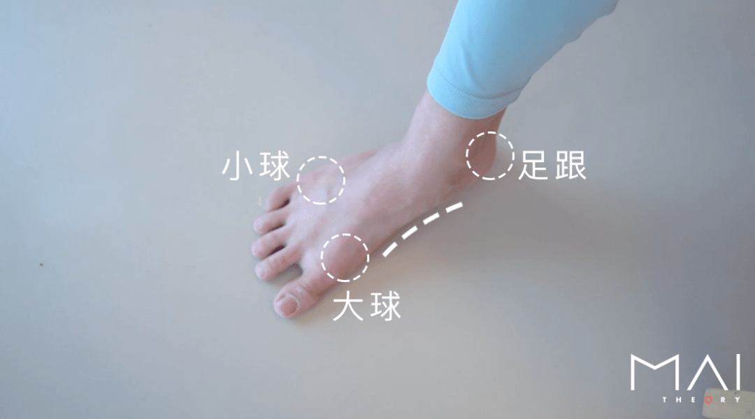拇趾 再站立回来,过程中感受足弓自然抬起 越蹲,大脚球越容易离开地面