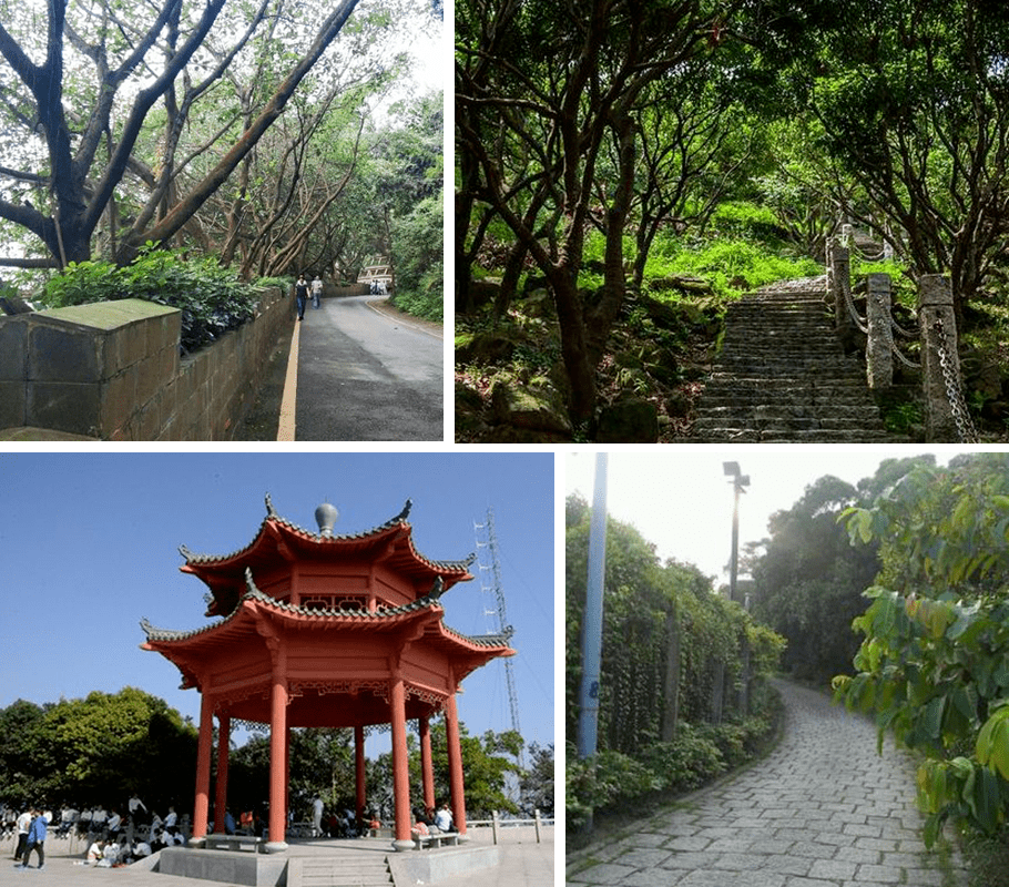 茶香徑登山道由塘朗山主峰沿主峰山脊線通往梅林山郊野公園