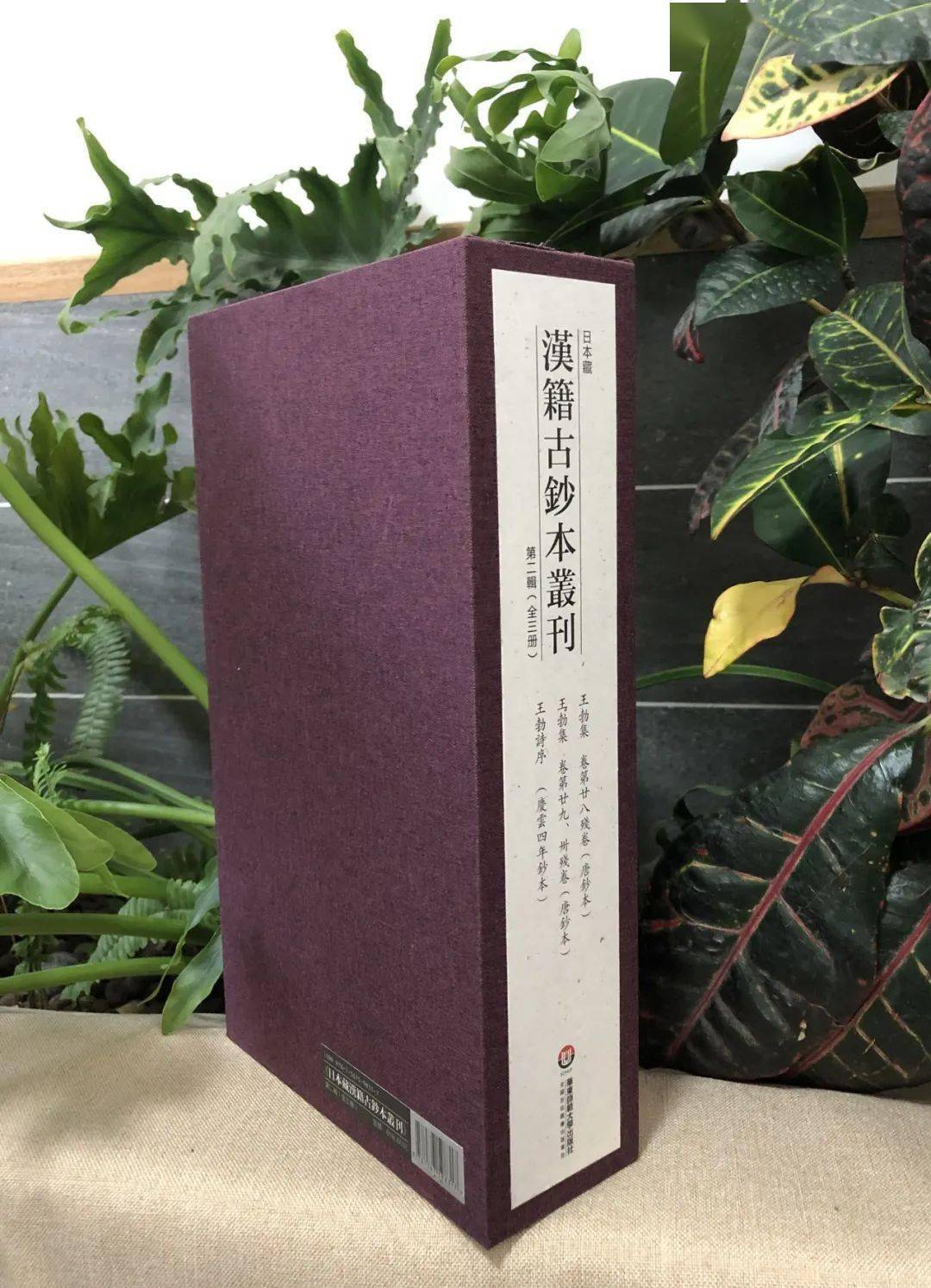5元第二辑第1册王勃