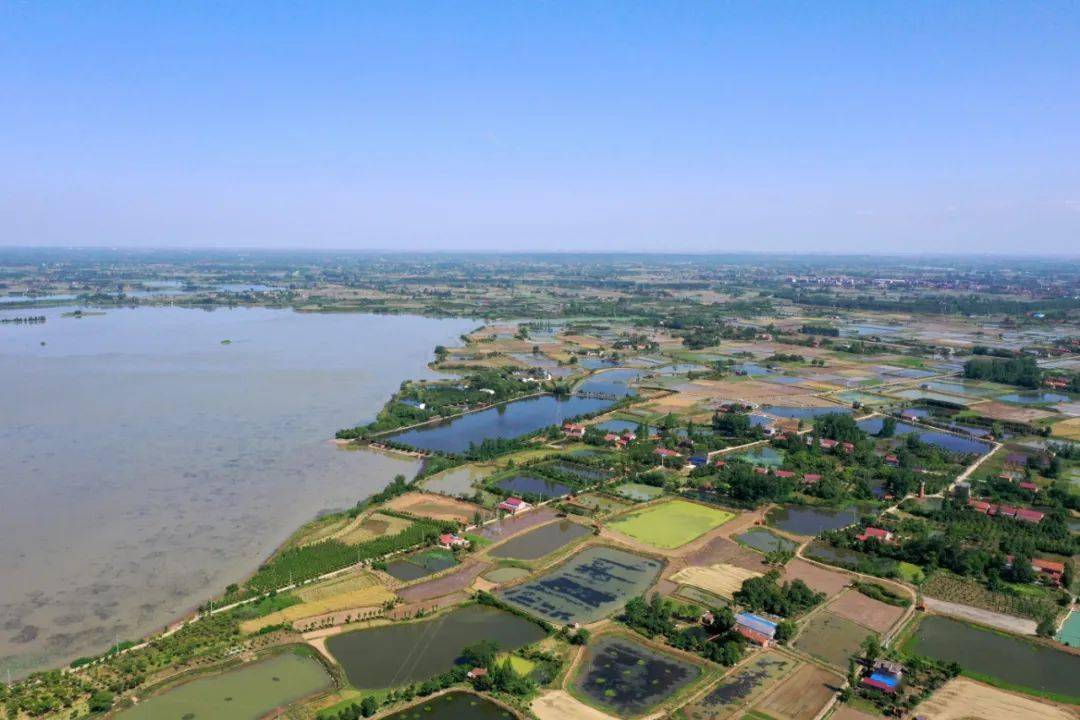"荆州区菱角湖国家湿地公园管理处副主任王娥说到.