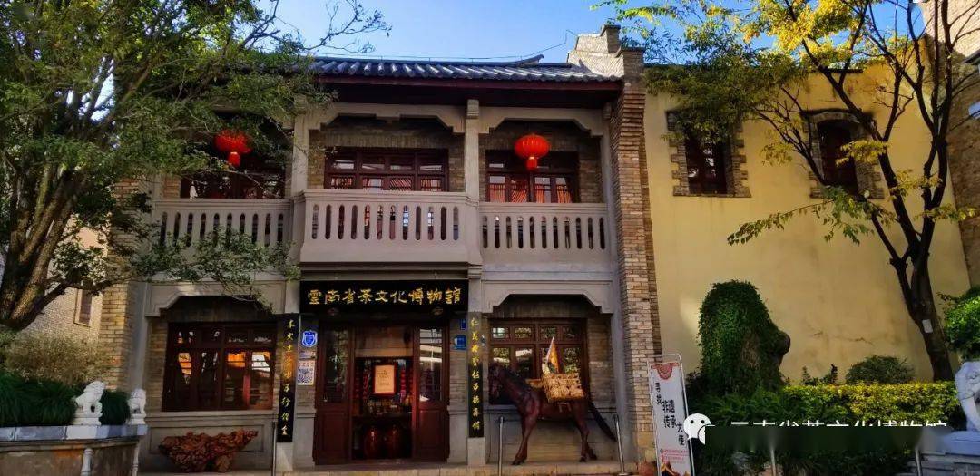 云南省茶文化博物馆中级茶艺师考试