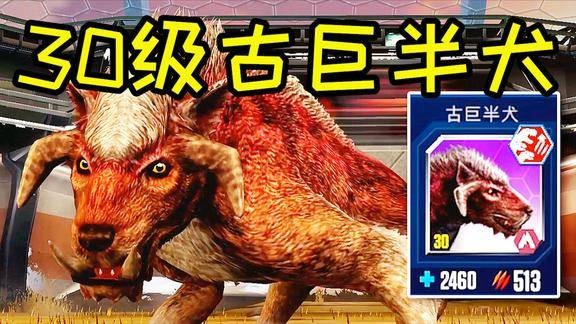 小鸢侏罗纪世界手游1845古巨半犬进化30级变身地狱恶犬