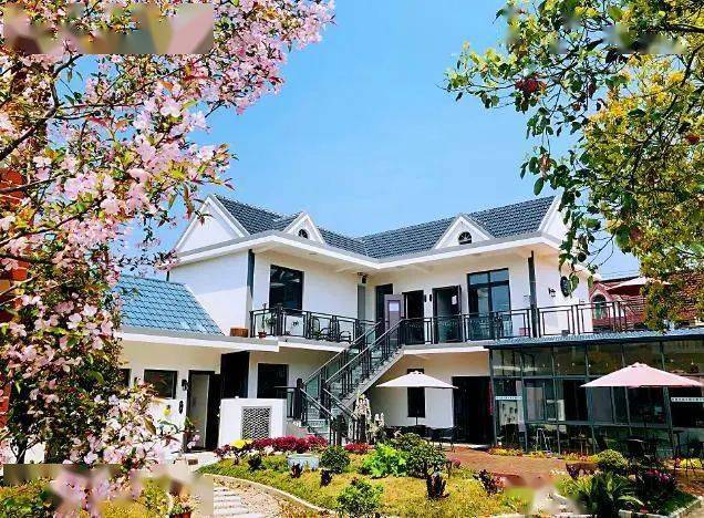 长江的尽头我的家乡崇明岛