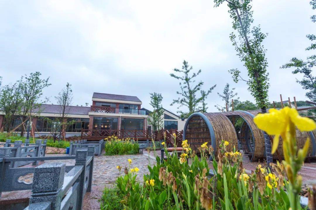 走向我们的小康生活②丨三林村电商风正劲年轻人返乡创业忙