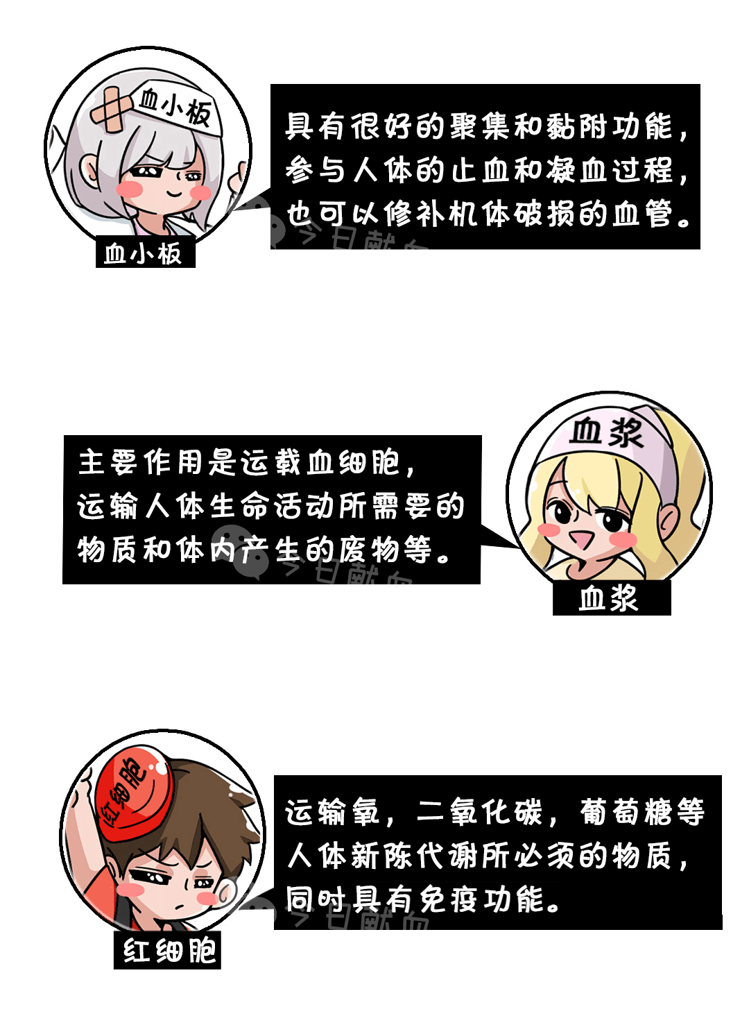 既然提倡成分输血,那我献的全血去哪了?-搜狐大视野-搜狐新闻