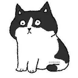 丑猫不怕巷子深让人一边嘲笑一边夸可爱太可乐啦