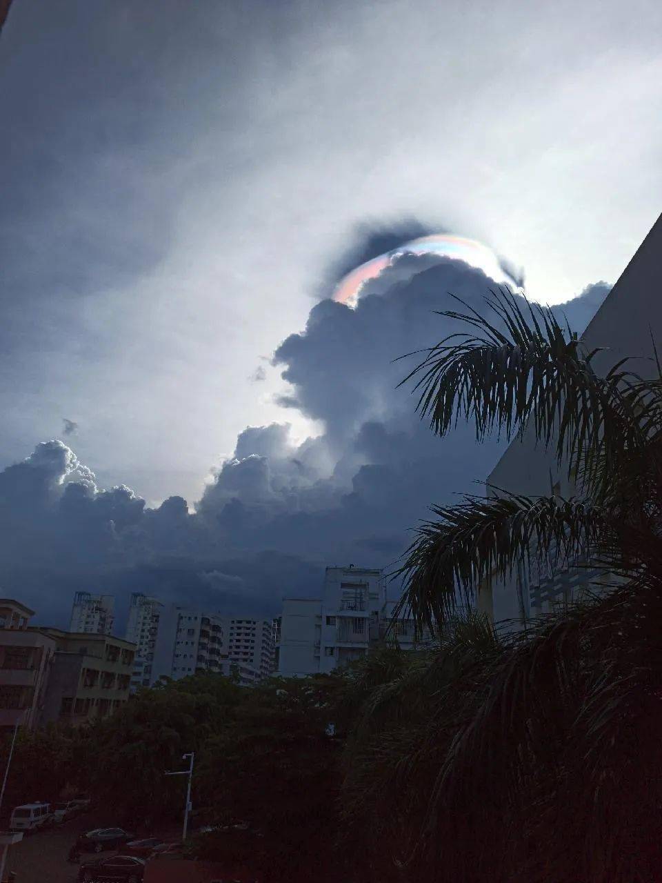 这个"七彩云"是"虹彩幞状积雨云"