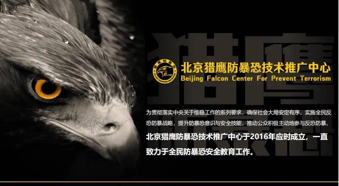 控险")是由北京猎鹰防暴恐技术推广中心正式授权和国家相关部门指导下
