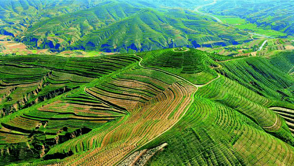 会宁绿意盎然满人间