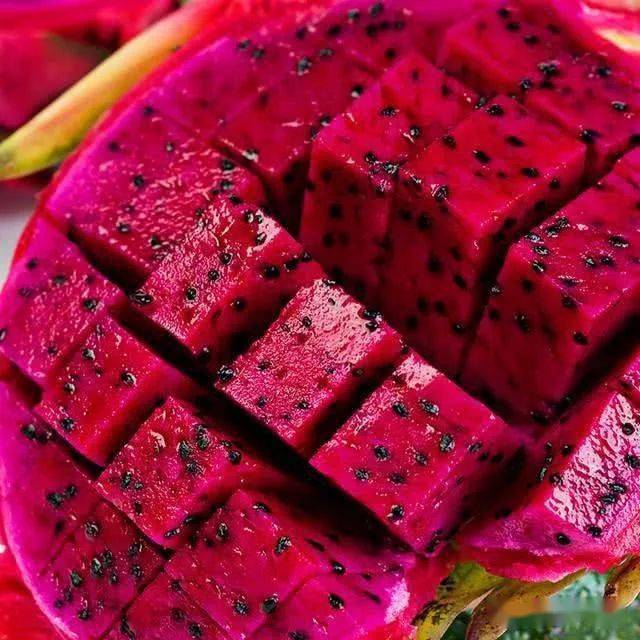 298元2大2小采摘带走2斤红的发紫的红心火龙果来了瑶盛耕趣农乐园内の