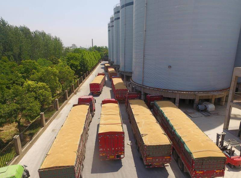 维维股份:积极投身粮食产业 粮库完全实现智能化管理