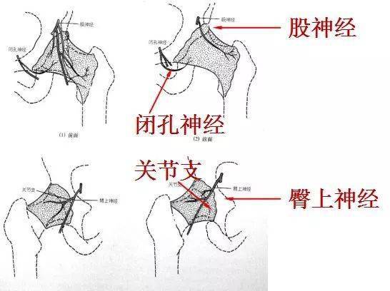 髖關節查體怎麼做