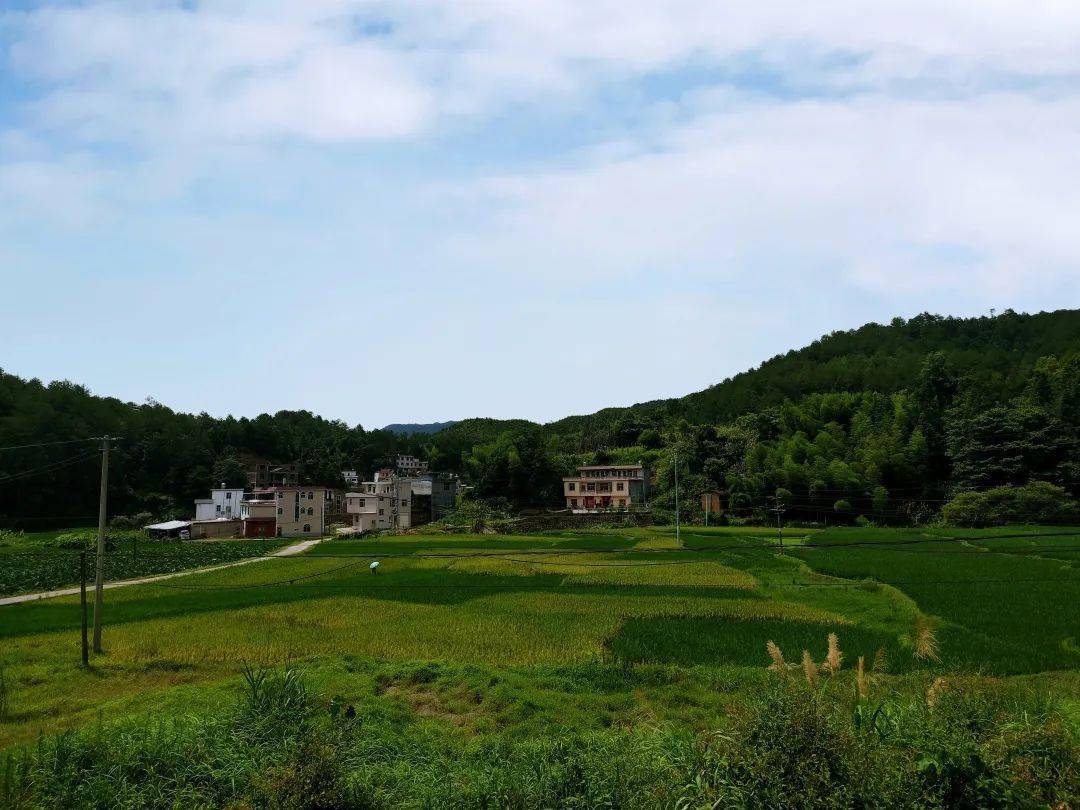 通過養殖脫貧致富的還有上杭縣通賢鎮大東村的貧困戶闕福新.