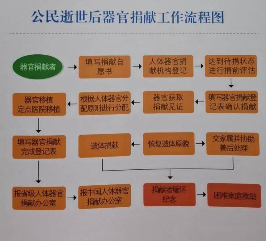 器官捐獻流程器官捐獻常見問題哪些人可以接受器官移植● 心臟由各種