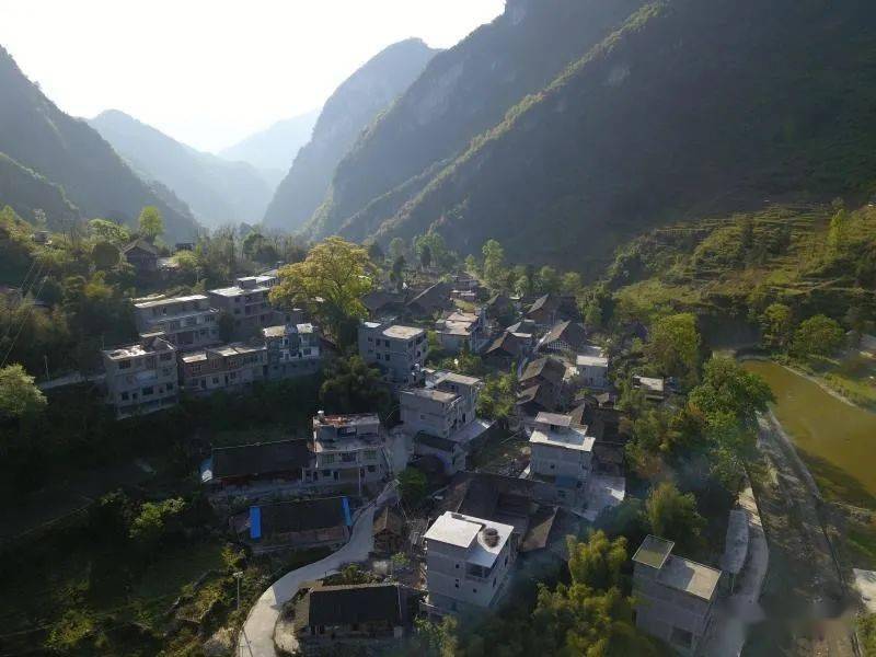 思渠镇发动大兵团作战强势推进乡村环境大提升