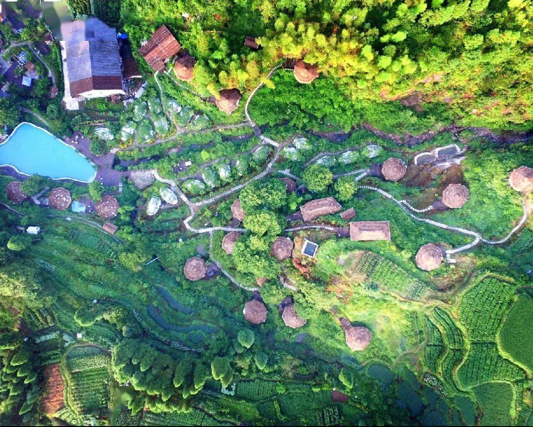 仙气儿飘飘!武阳荷花惊艳了整个夏天