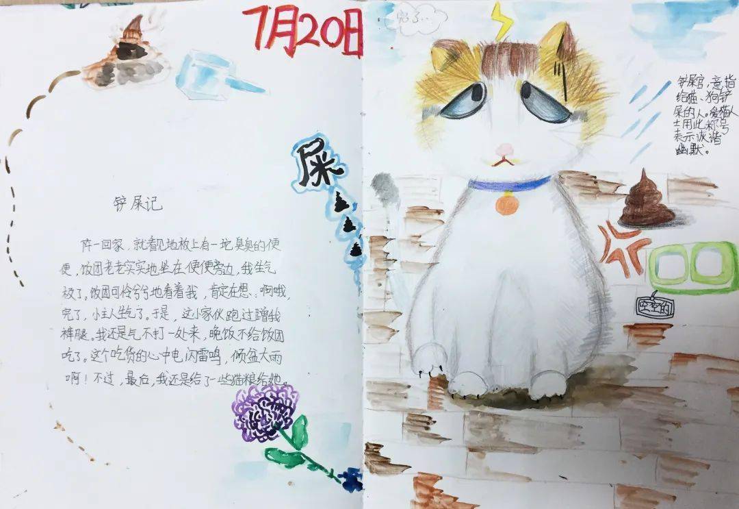 向阳小学自然笔记大赛开始啦