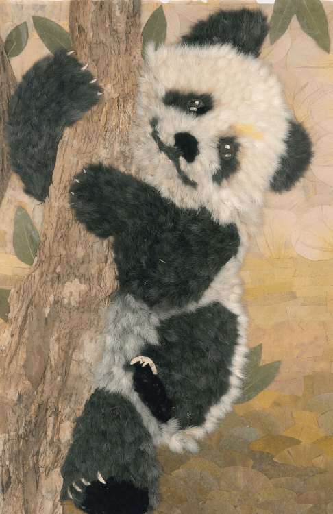 暑期活动 | 青秀山自然课堂压花课程招募啦!快来报名~_作品