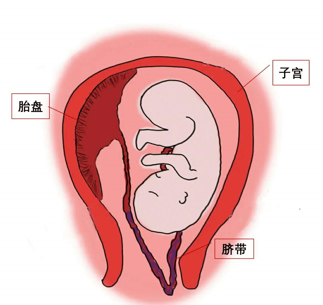 惊心9分钟母婴转危为安_胎儿