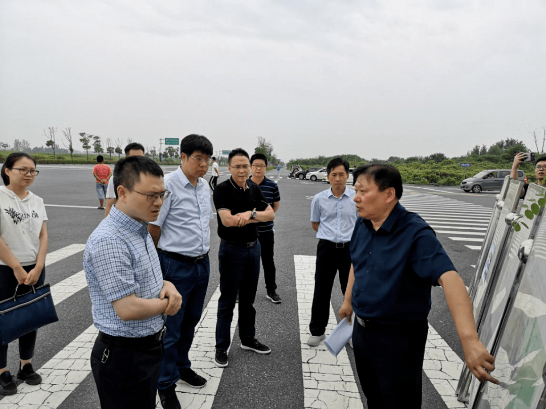 工作调研,县委副书记,县长姚飞,县委常委,常务副县长王书武及县发改委