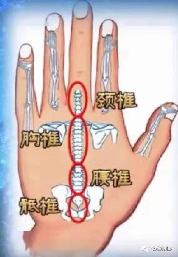 ​独具特色的张秀勤中医全息刮痧法一刮多效