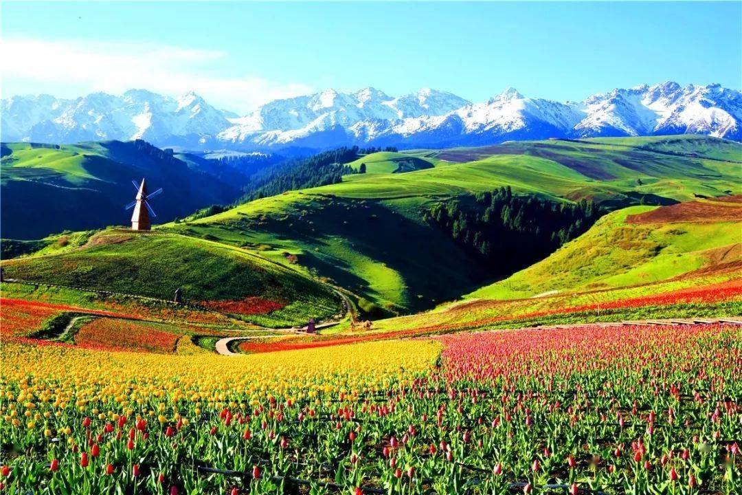 一山一水寻美景 一滋一味品昌吉