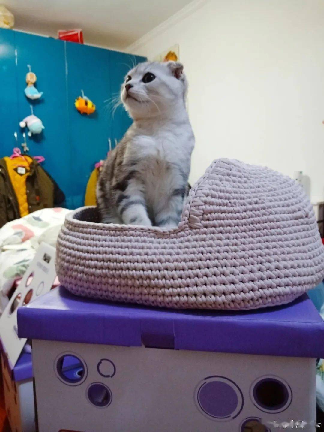 猫窝图解 | 家有喵星人看过来!猫窝自己钩