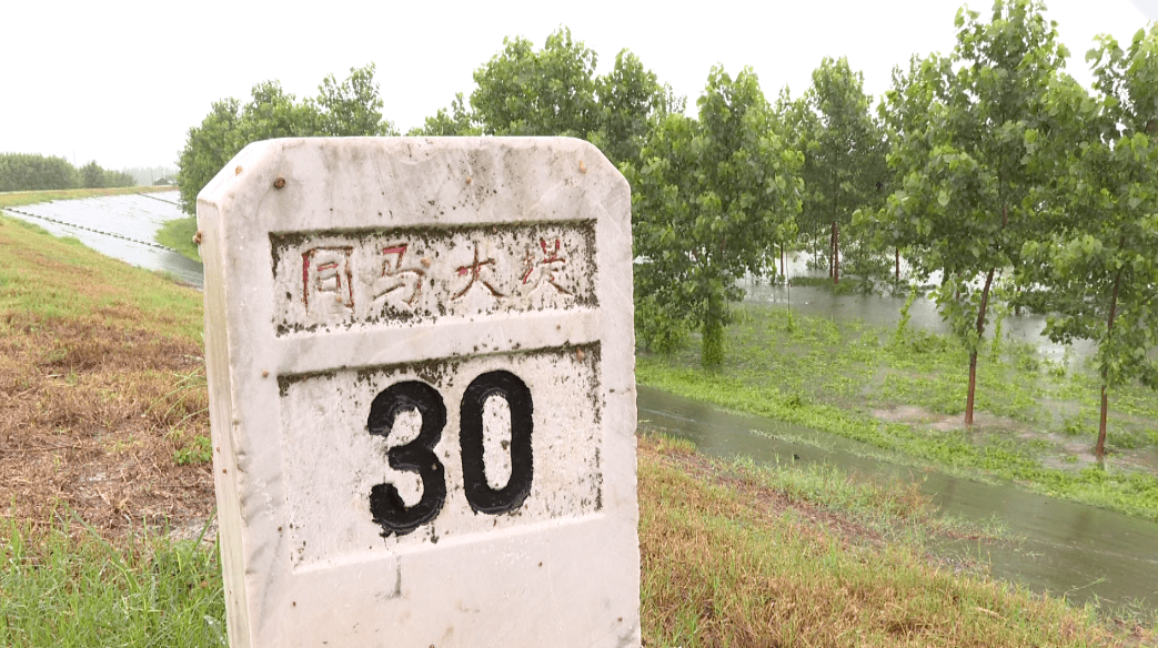 同马大堤启动防汛Ⅲ级应急响应全力筑牢防汛安全大堤