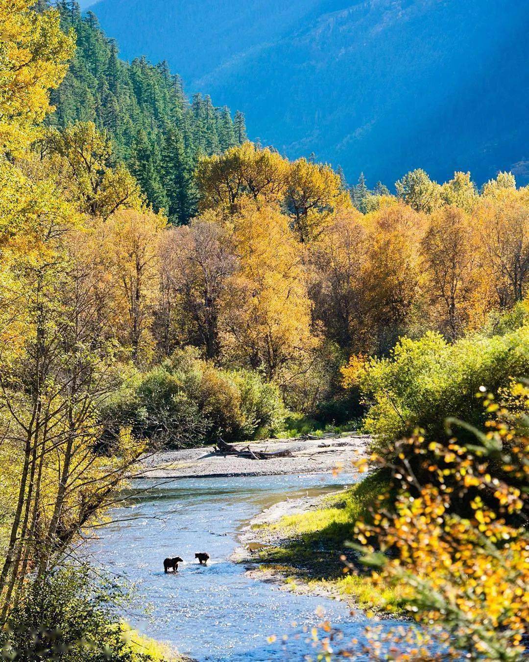 这里的风景显得如此美丽与祥和