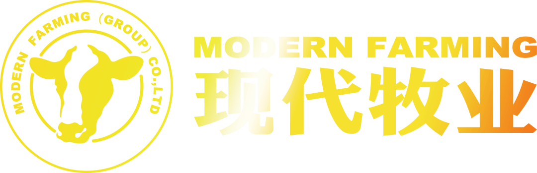 现代牧业"牛"气"实"足  持续盈利获多家机构看好