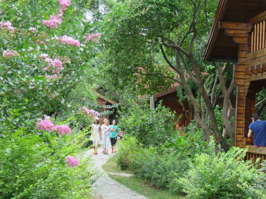 太湖牛仔亲子互动团 · 开团啦!